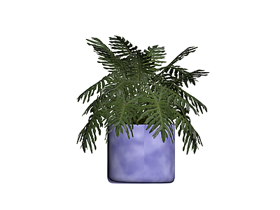 紫色花盆绿植盆栽