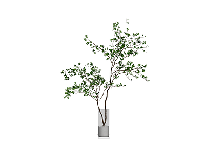 盆栽植物模型