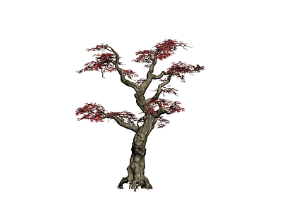 红枫景观乔木模型