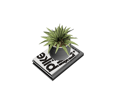 盆栽植物配书籍组合