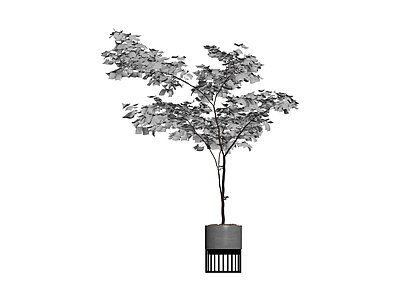 盆栽植物模型（灰模）