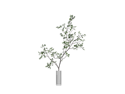 透明玻璃花瓶绿植组合
