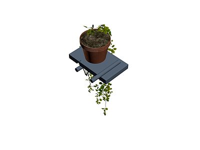 带盆垂吊绿植盆栽