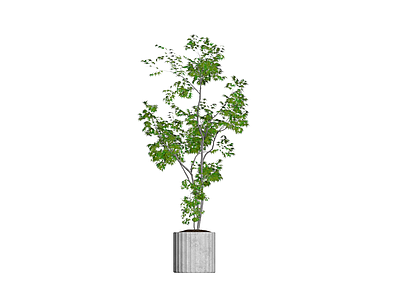 盆栽绿植景观模型