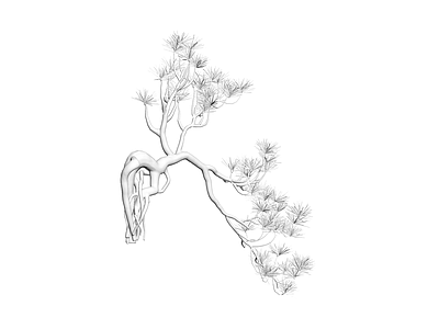 白化风格松树模型