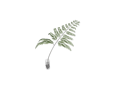 带盆绿植盆栽模型