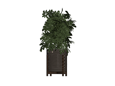 编织纹花盆栽植