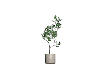 灰色花盆绿植盆栽