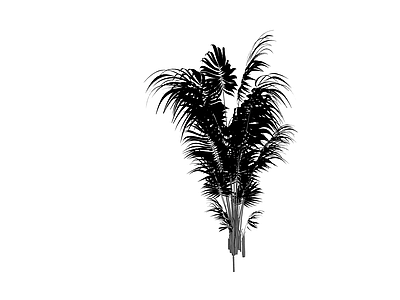 丛生散尾葵植物模型