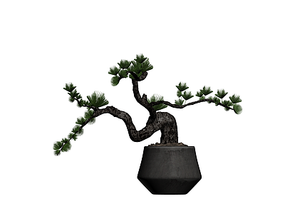 盆栽松树景观模型