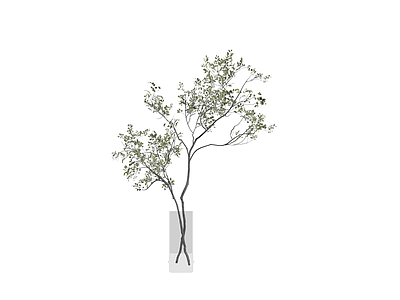 透明花瓶插绿植盆栽