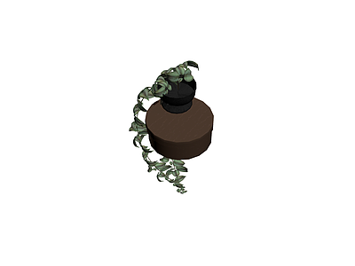木质底座垂吊盆栽