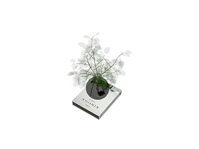 书籍花瓶植物组合