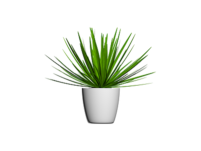 白盆绿植盆栽模型