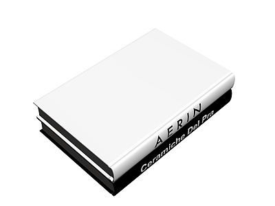 AERIN书籍组合模型