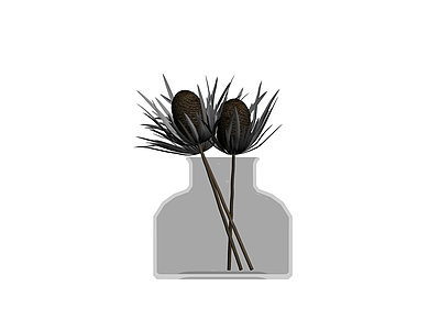 花瓶与干花装饰组合