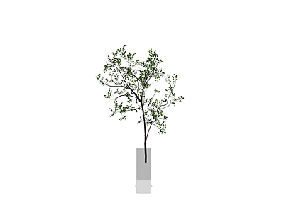 带盆绿植盆栽模型
