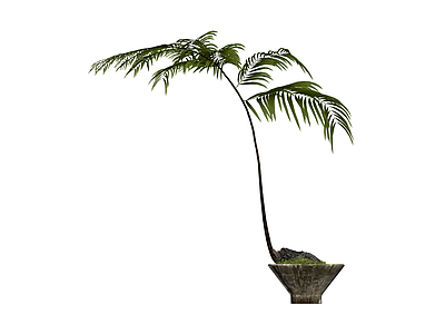 盆栽植物模型