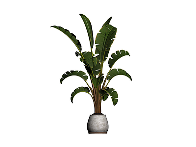盆栽仿真植物模型