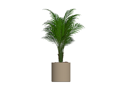 盆栽绿植编织花盆