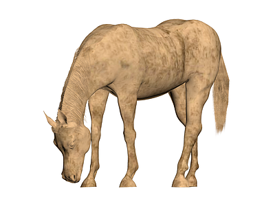 低头姿态马匹3D模型
