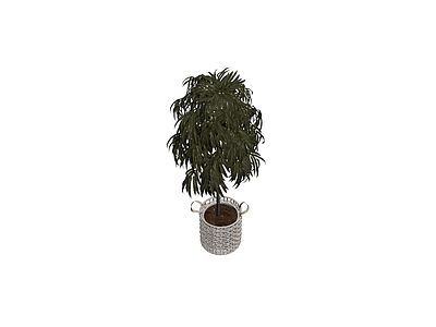 盆栽植物配编织篮