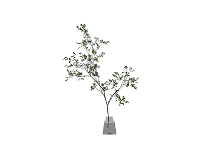 绿植盆栽模型