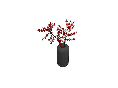 花瓶红果盆栽组合