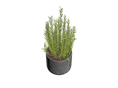 盆栽绿植组合模型