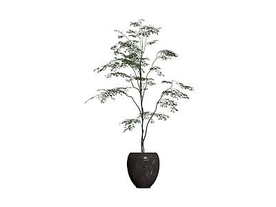 深色花盆配绿植盆栽