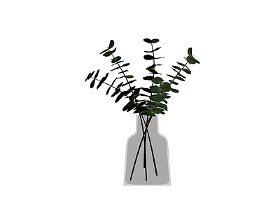 瓶插尤加利叶盆栽
