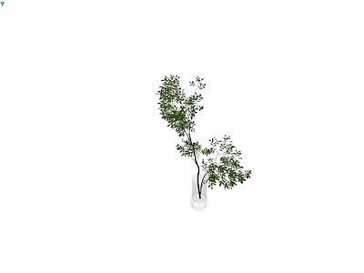 盆栽绿植模型