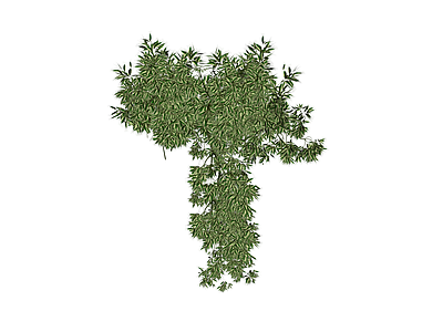 绿植灌木模型