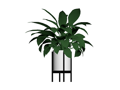 盆栽绿植带盆架