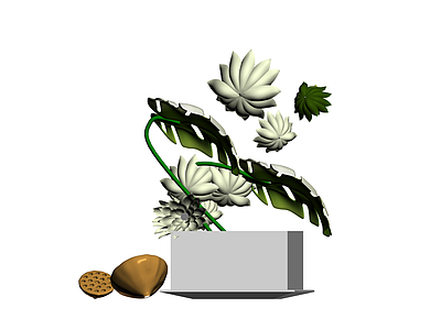 盆栽植物与莲蓬组合