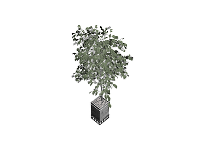 方形盆栽绿植模型