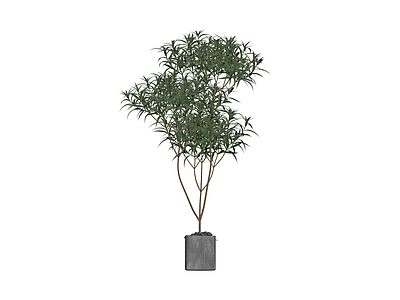 盆栽绿植景观小品