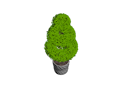 三层造型盆栽植物