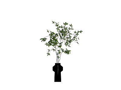 盆栽植物配黑色花瓶