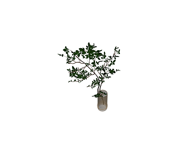 玻璃瓶插绿植盆栽