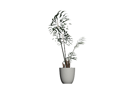 盆栽绿植植物模型