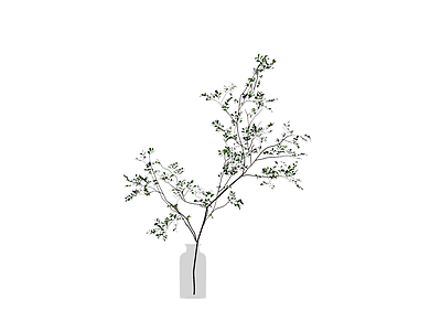 花瓶插绿植盆栽