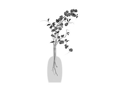 透明花瓶插绿植