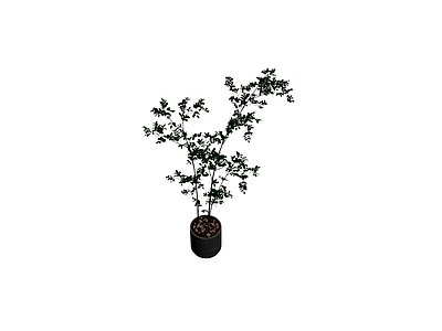 深色盆栽绿植模型