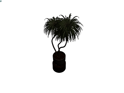 双干盆栽植物模型