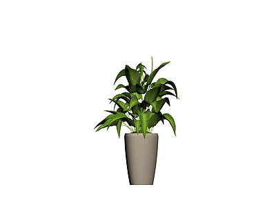 灰模室内盆栽植物