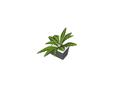 灰模方形盆栽植物