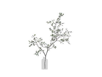 瓶中绿植盆栽