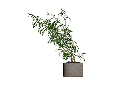 盆栽绿植模型