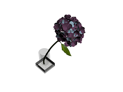 绣球花盆栽模型
